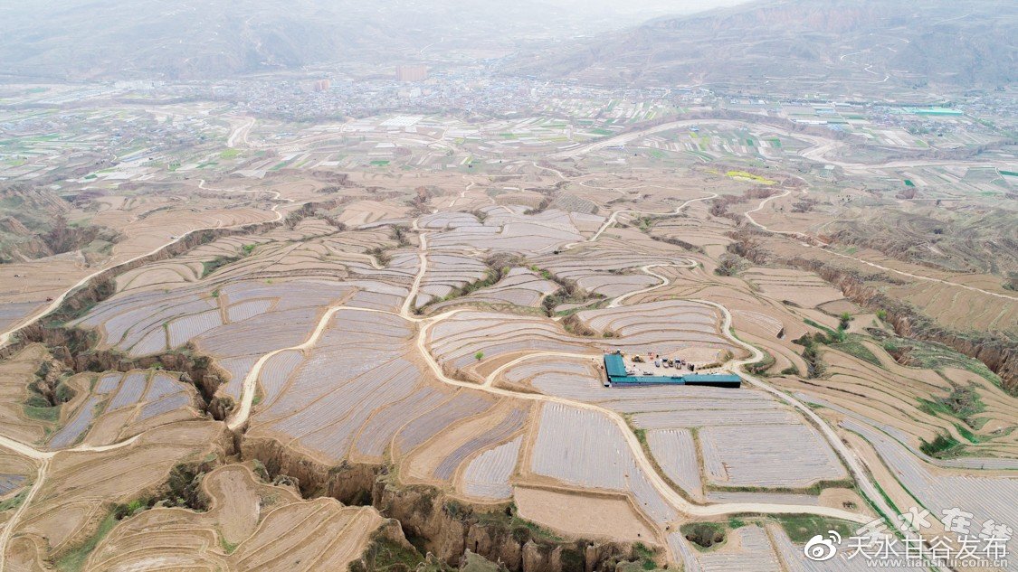 全网最低自助下单平台dy