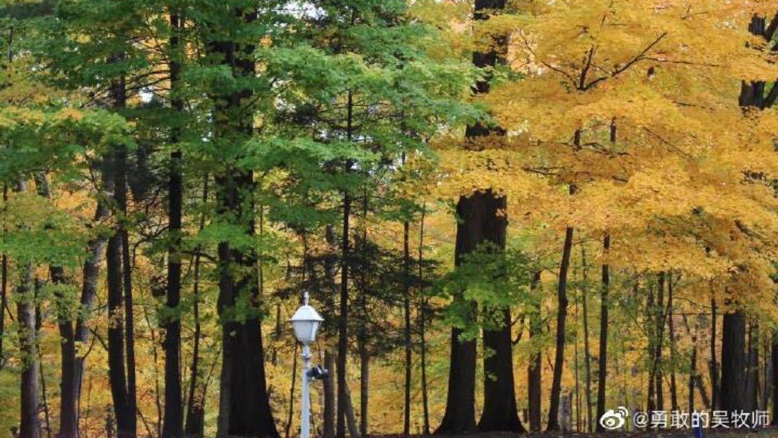 抖音点赞下单自助：新媒体运营秘诀曝光轻松提升品牌影响力