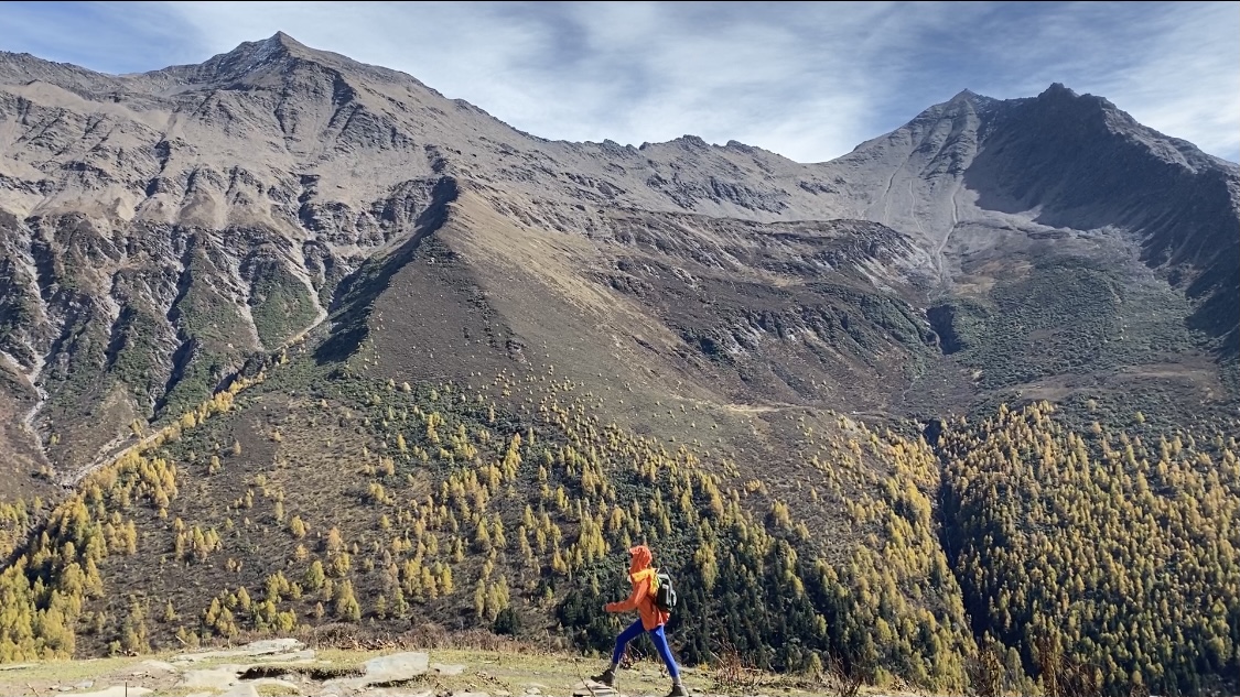 ks浏览自助下单
